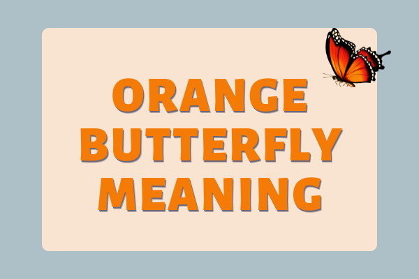 Orange Butterfly Meaning