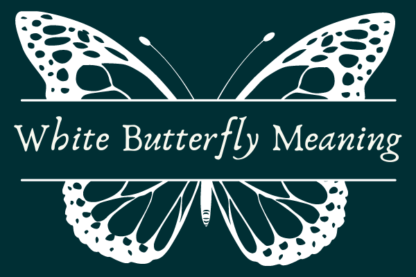 White Butterfly Meaning