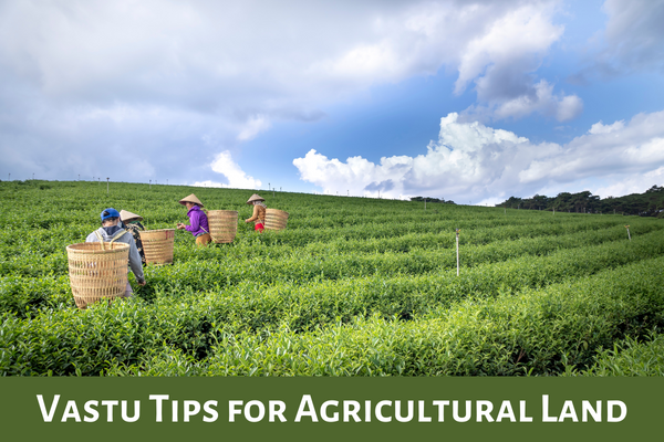 Tips For Agricultural Land As Per Vastu Vastu Tips for Agricultural Land