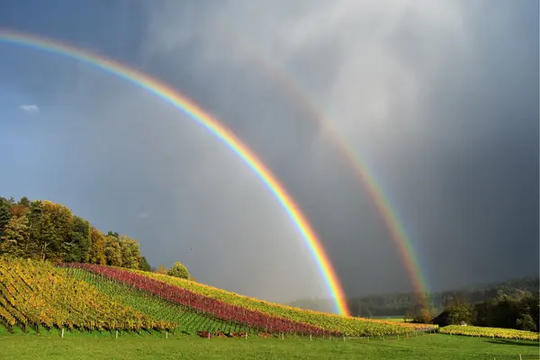 Double Rainbow Meaning