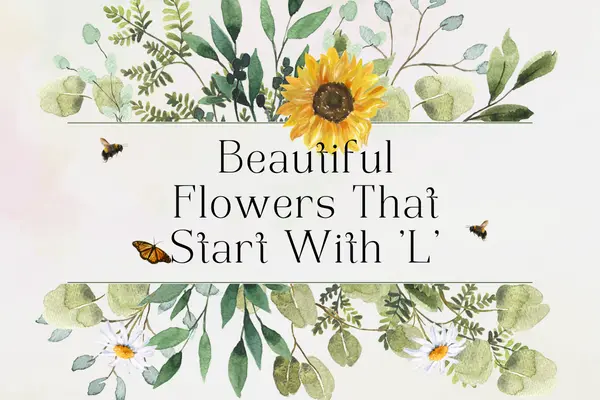 Flowers That Start With L