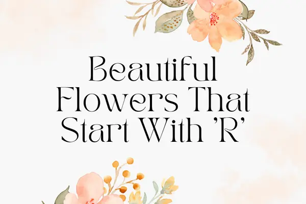Beautiful Flowers That Start With R