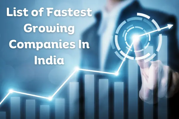 fastest-growing-companies-in-india-2023-ink-fruit