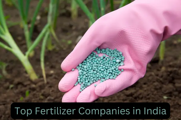 Top Fertilizer Companies In India - Ink Fruit